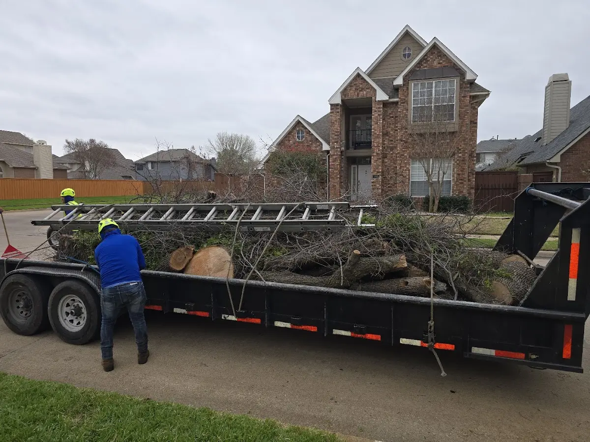 Expert Tree Fertilization with proper safety equipment in Lumpkin